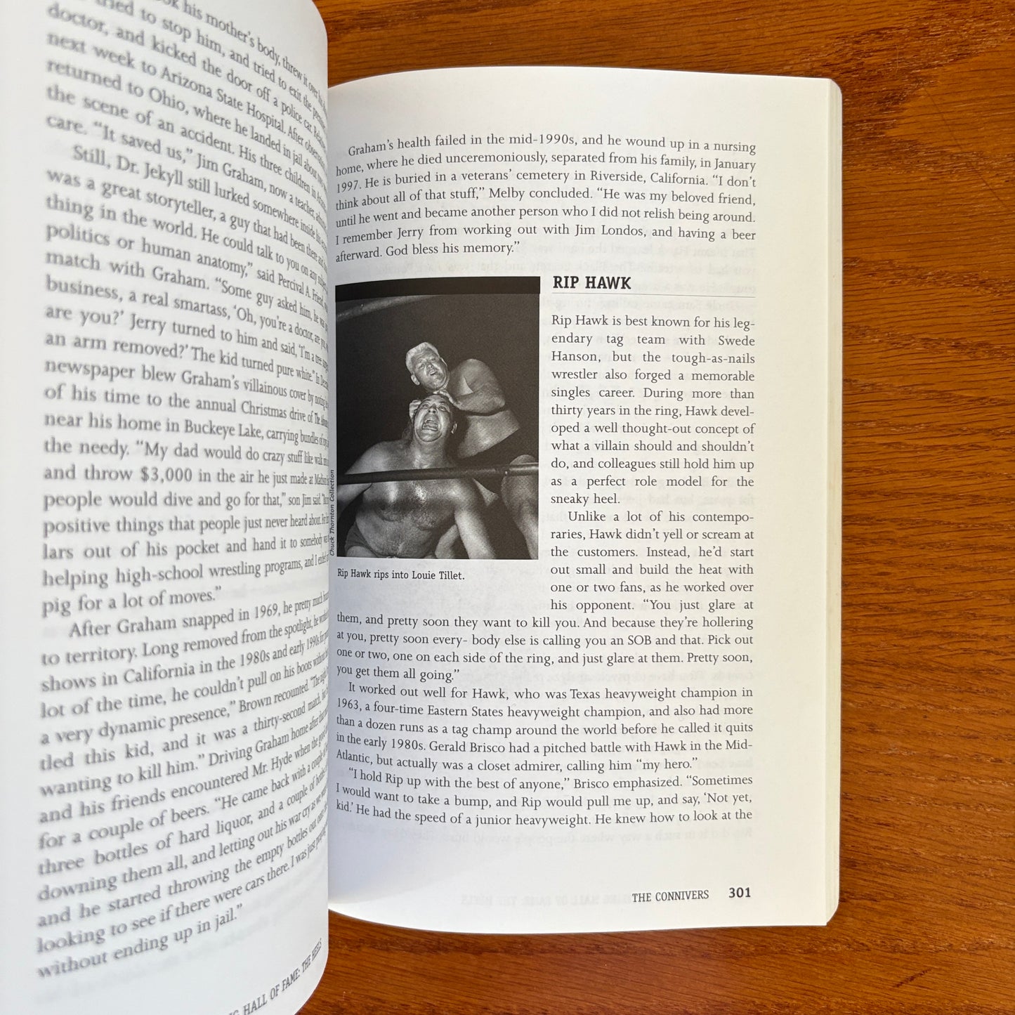 The Pro Wrestling Hall of Fame: The Heels - Greg Oliver & Steven Johnson