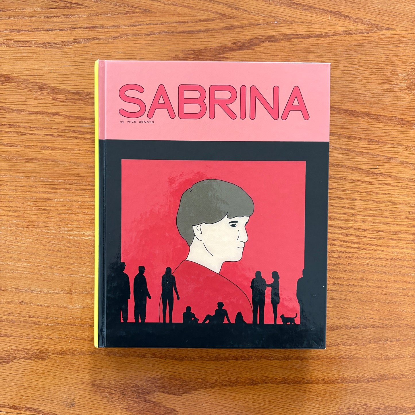 Sabrina - Nick Drnaso
