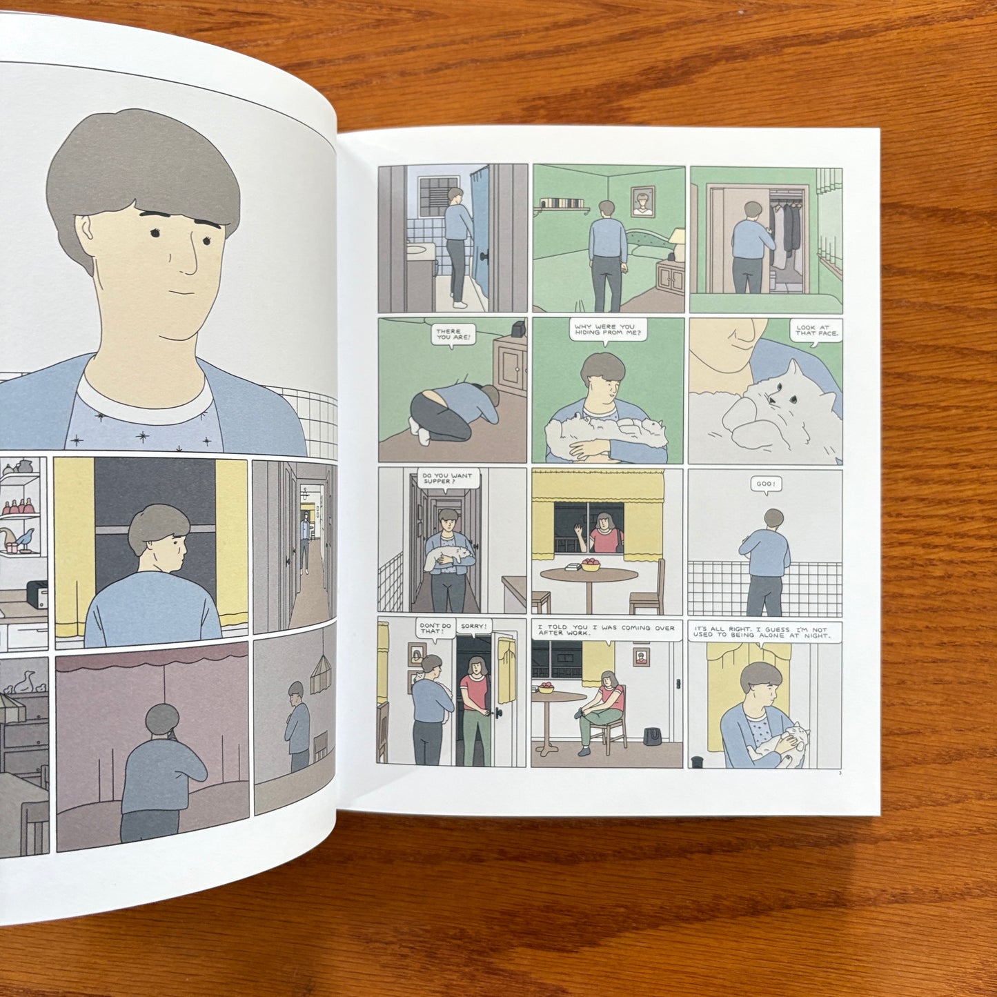 Sabrina - Nick Drnaso