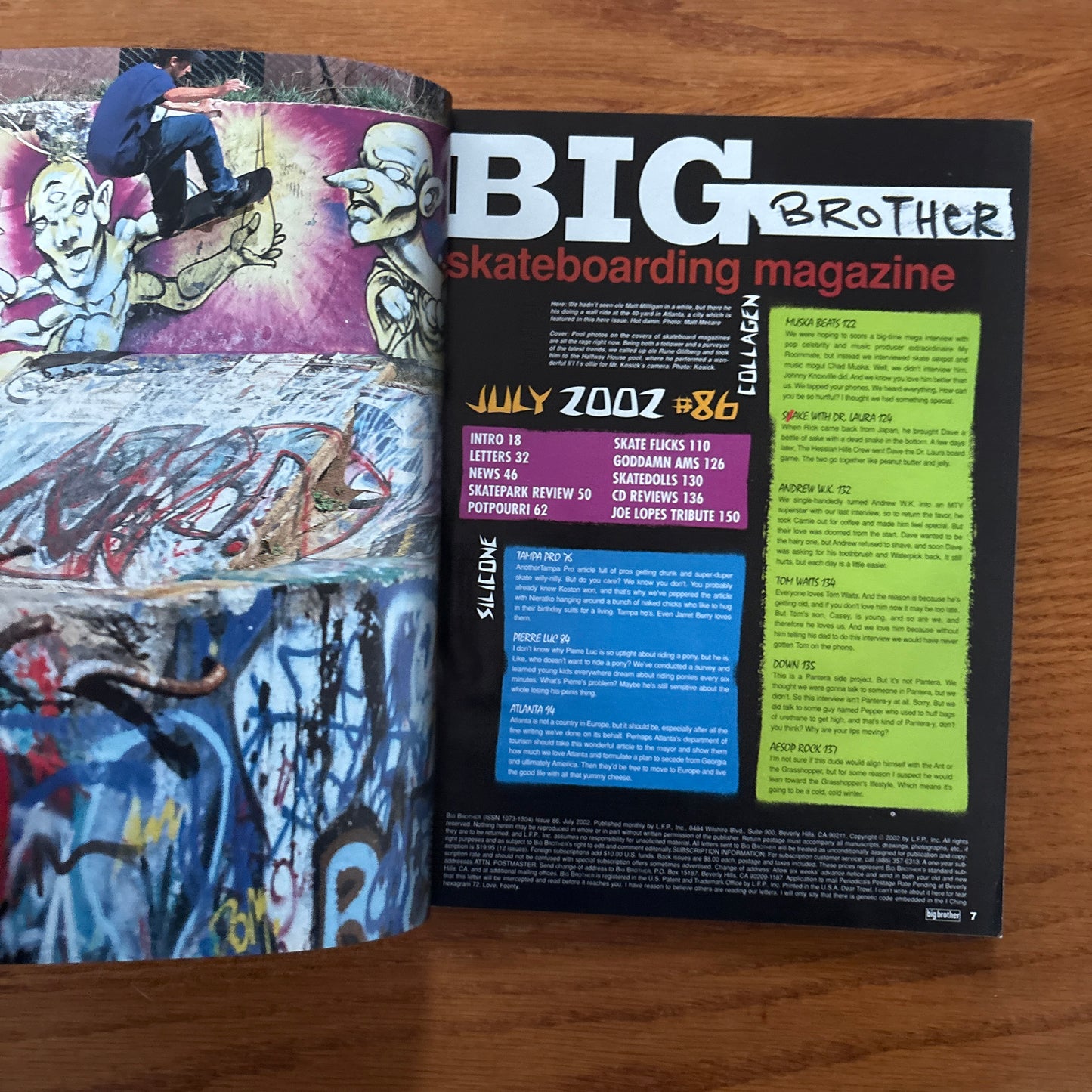 Big Brother 86