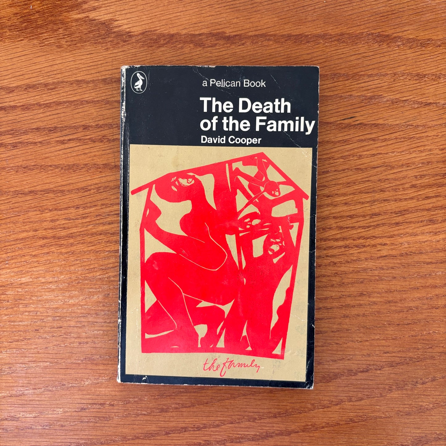 The Death of the Family - David Cooper