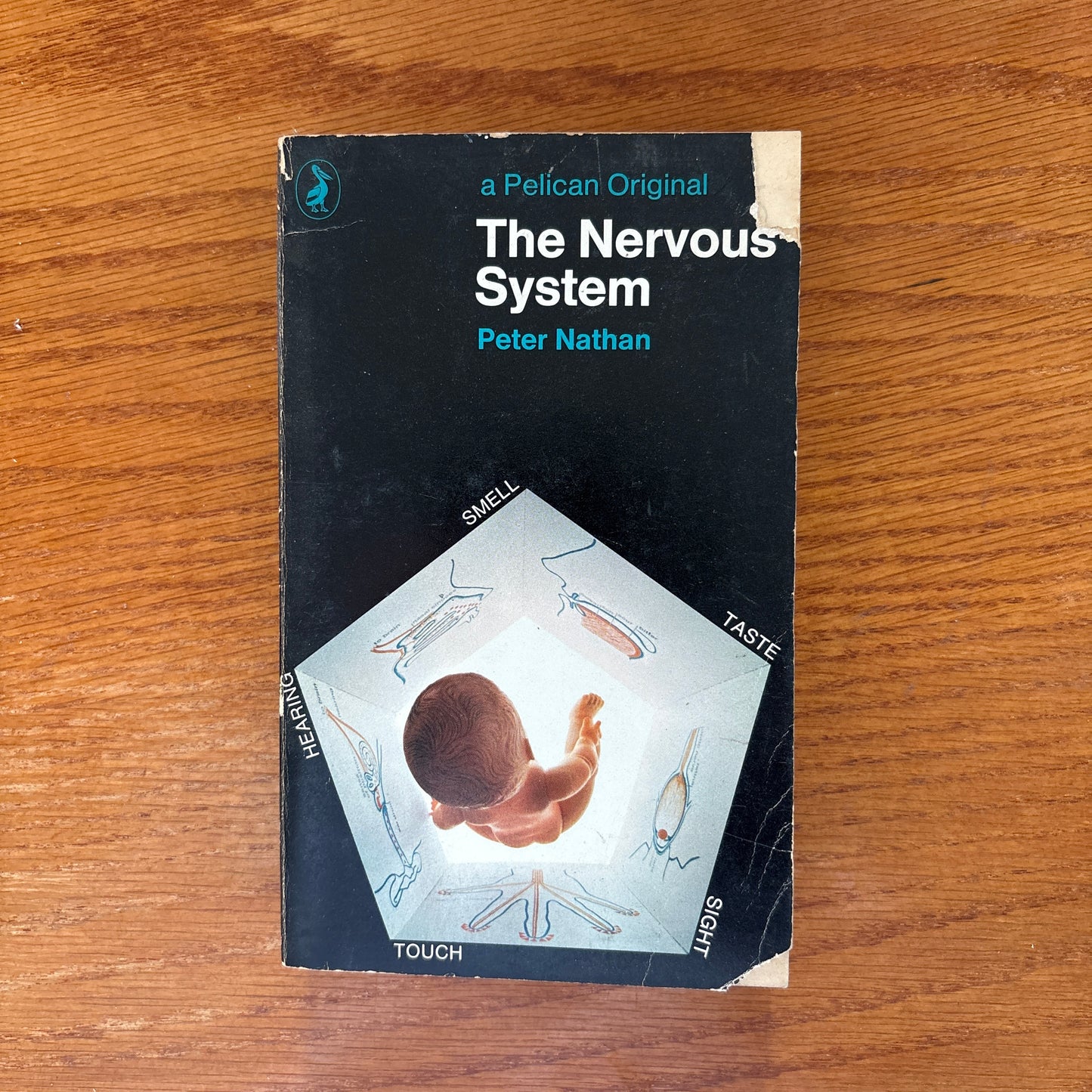 The Nervous System - Peter Nathan