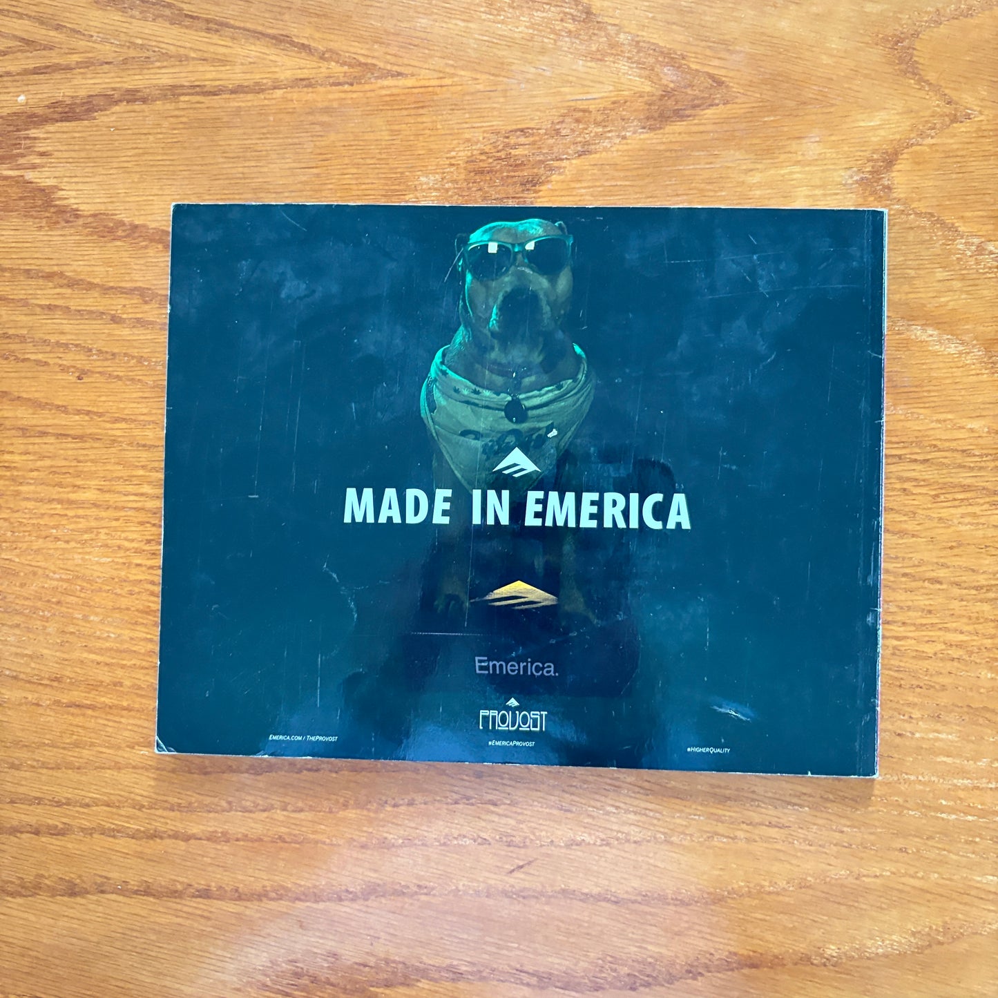 Skate Boarder Jun 2013