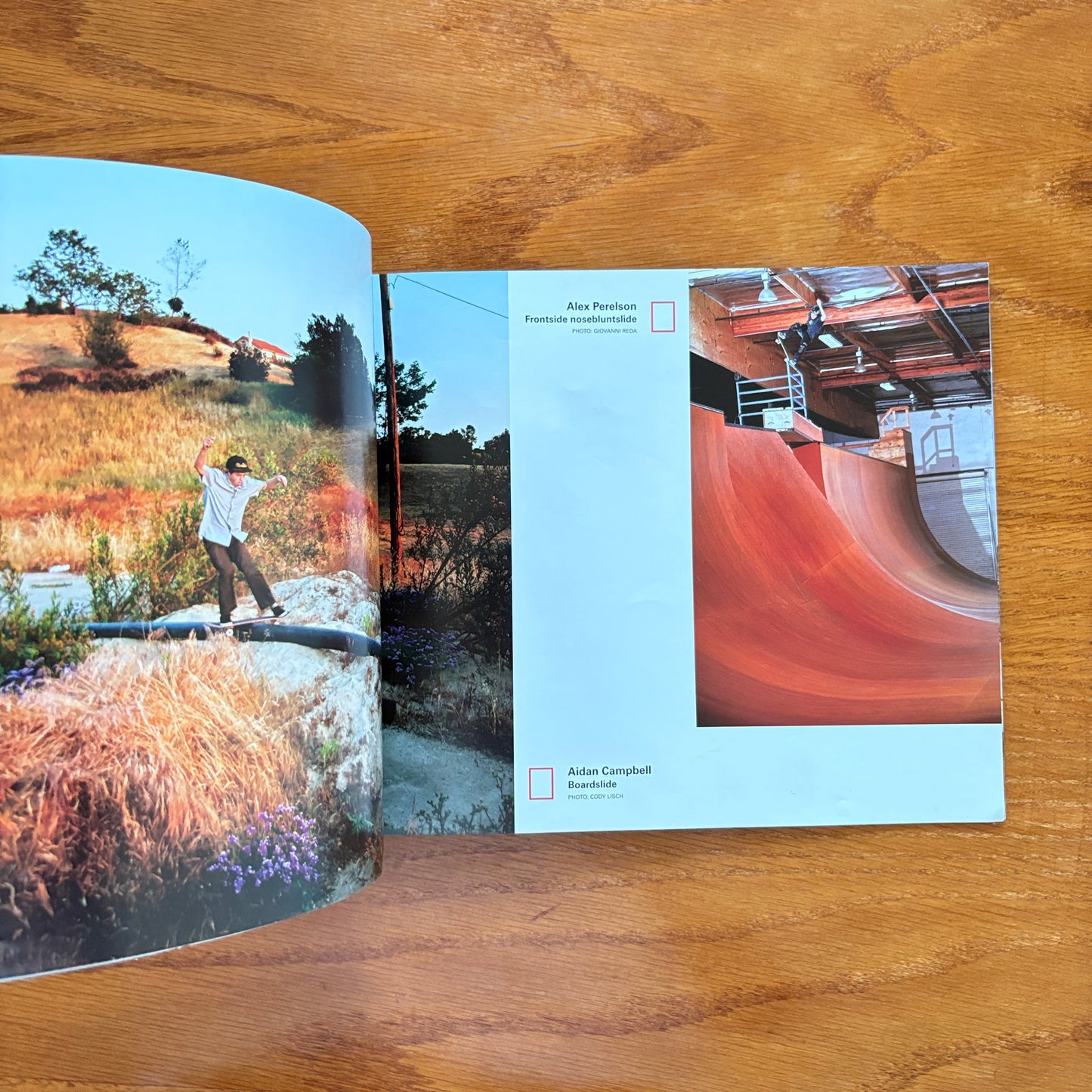 Skate Boarder Jun 2013