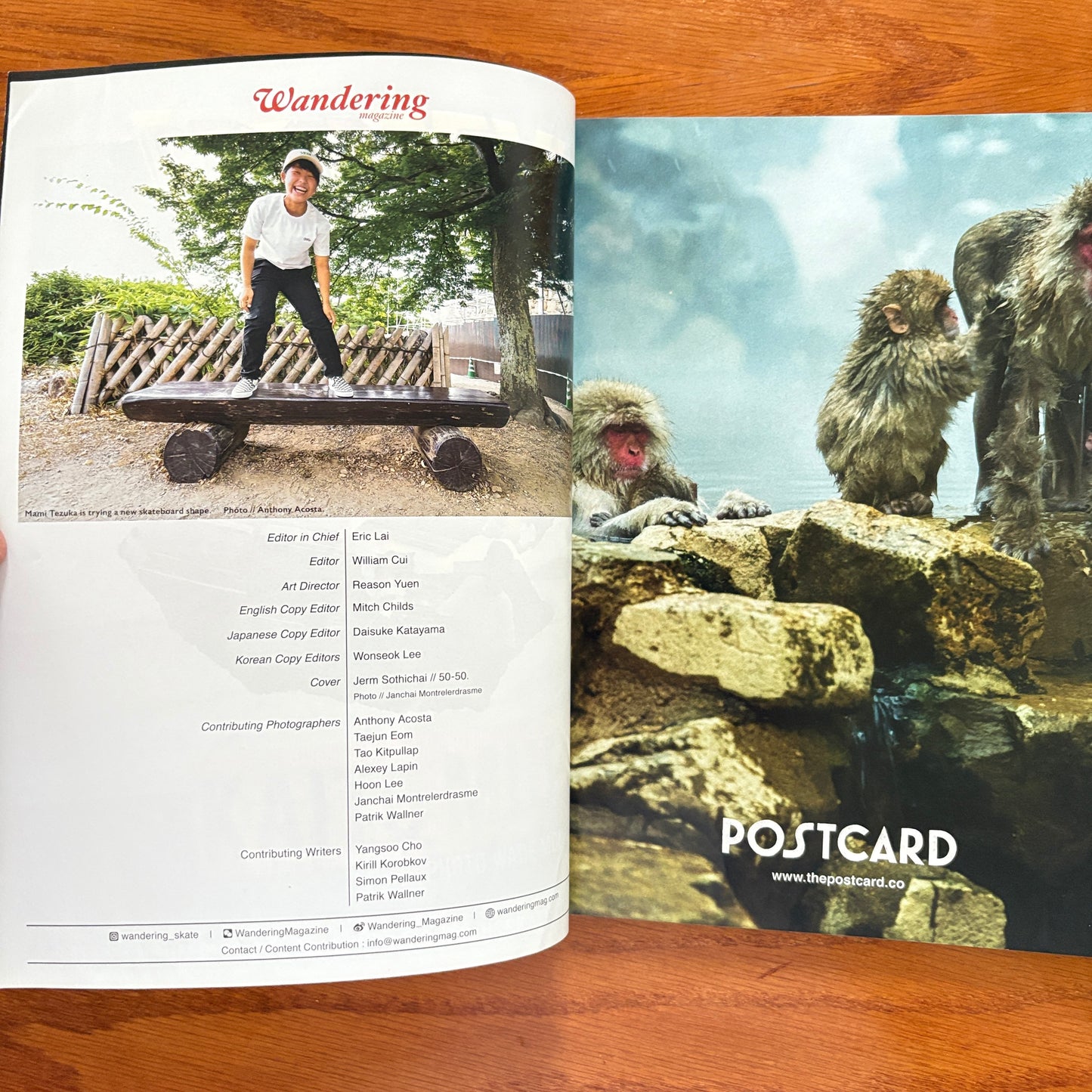 Wandering 5 Mar 2019