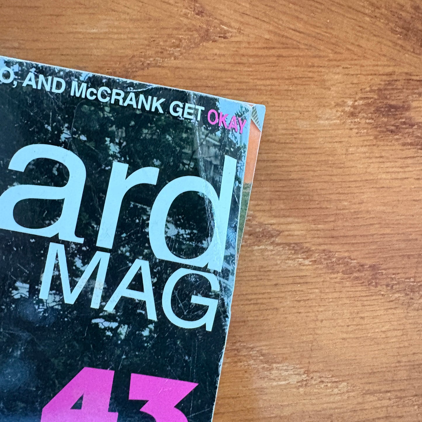 The Skateboard Mag #43