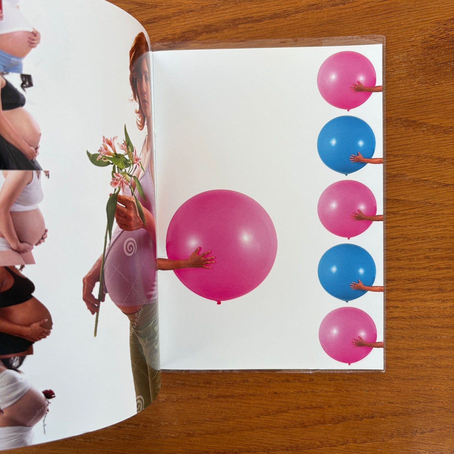 Totally Objectified - Ivy Le