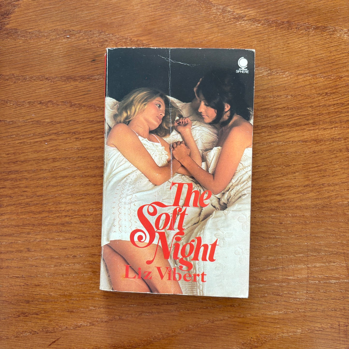 The Soft Night - Liz Vibert
