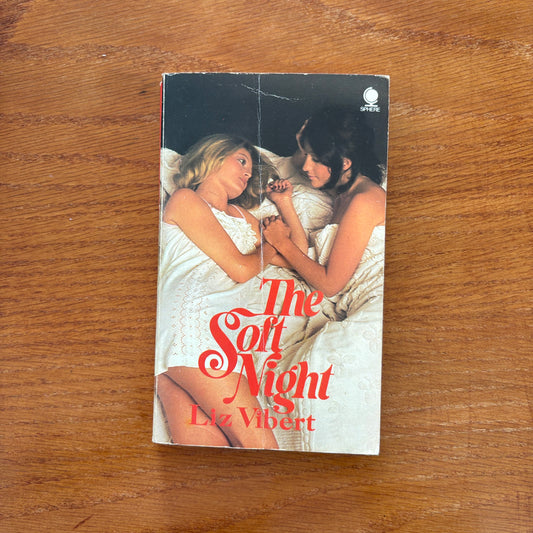 The Soft Night - Liz Vibert