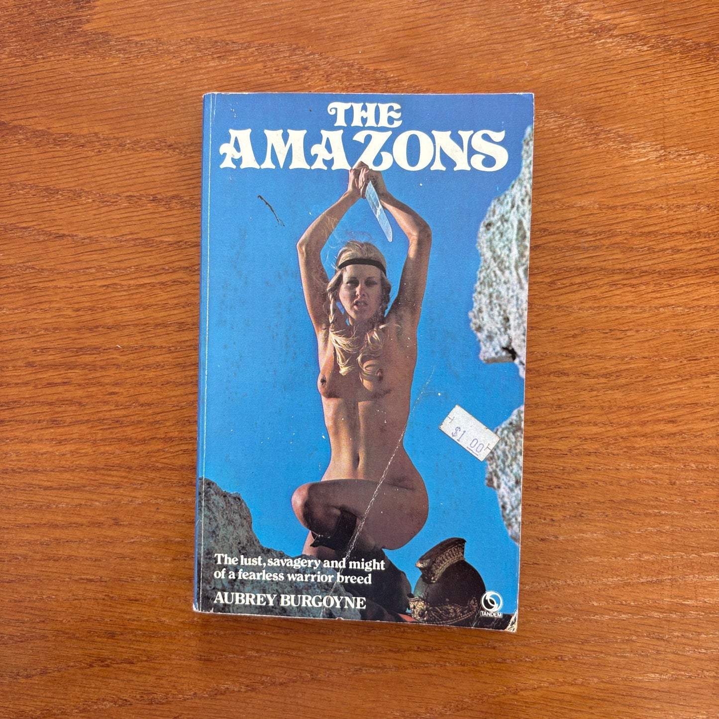 The Amazons - Aubrey Burgoyne