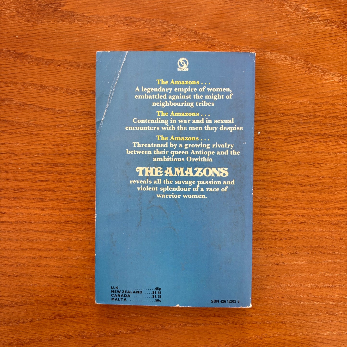 The Amazons - Aubrey Burgoyne