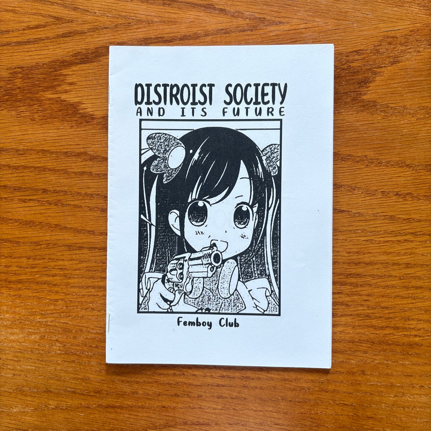 Distroist Society and its Future - Femboy Club