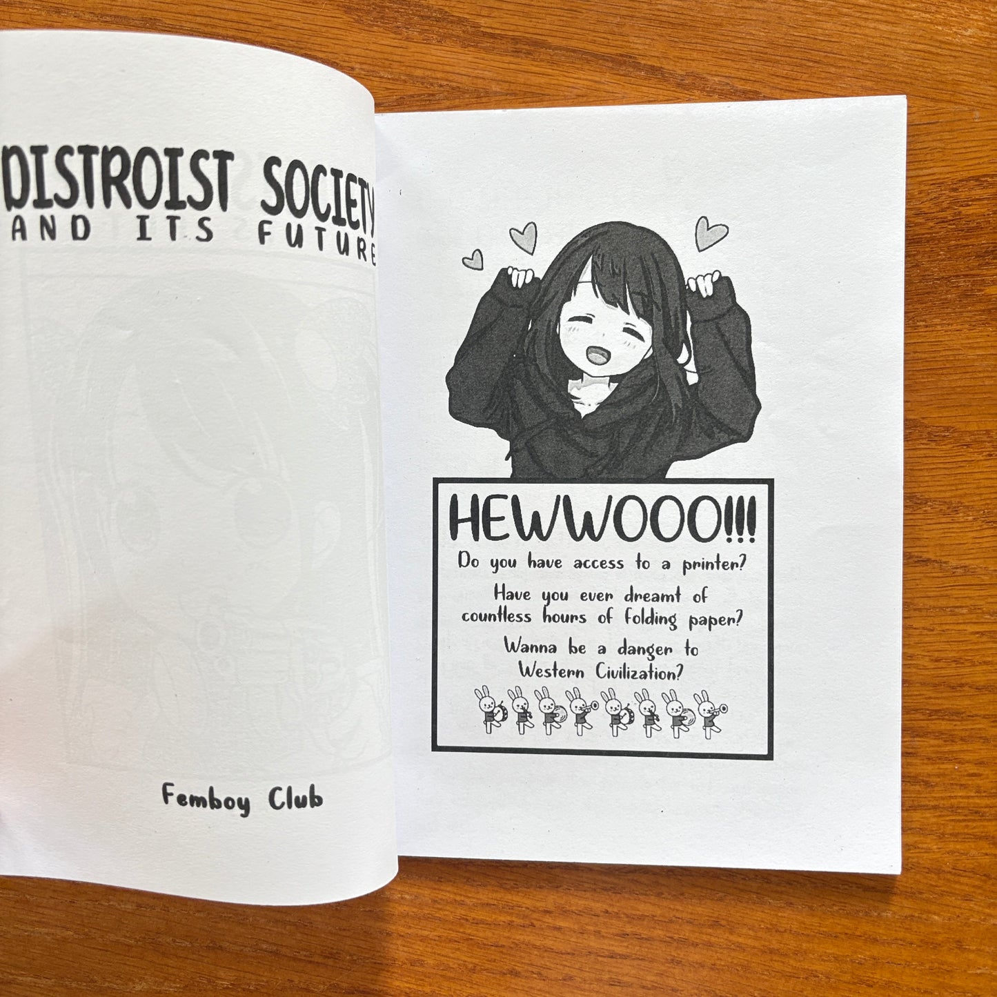 Distroist Society and its Future - Femboy Club