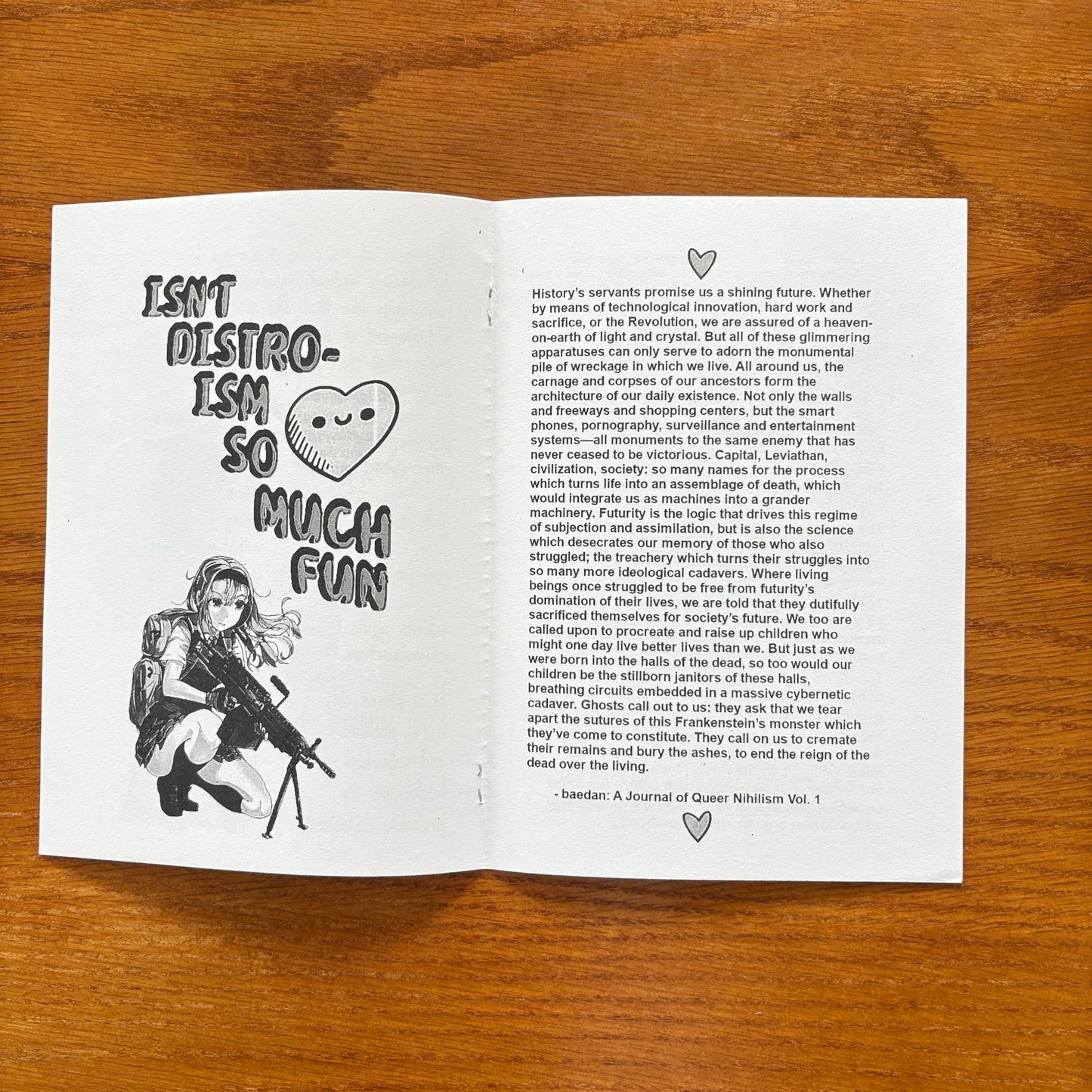 Distroist Society and its Future - Femboy Club