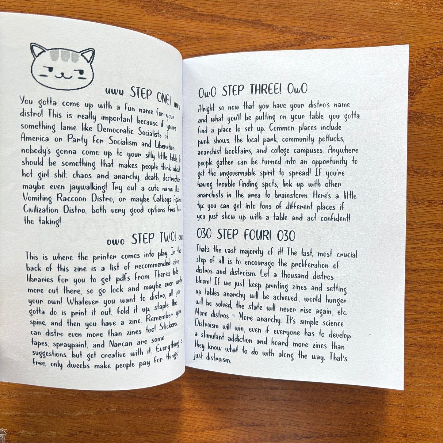 Distroist Society and its Future - Femboy Club