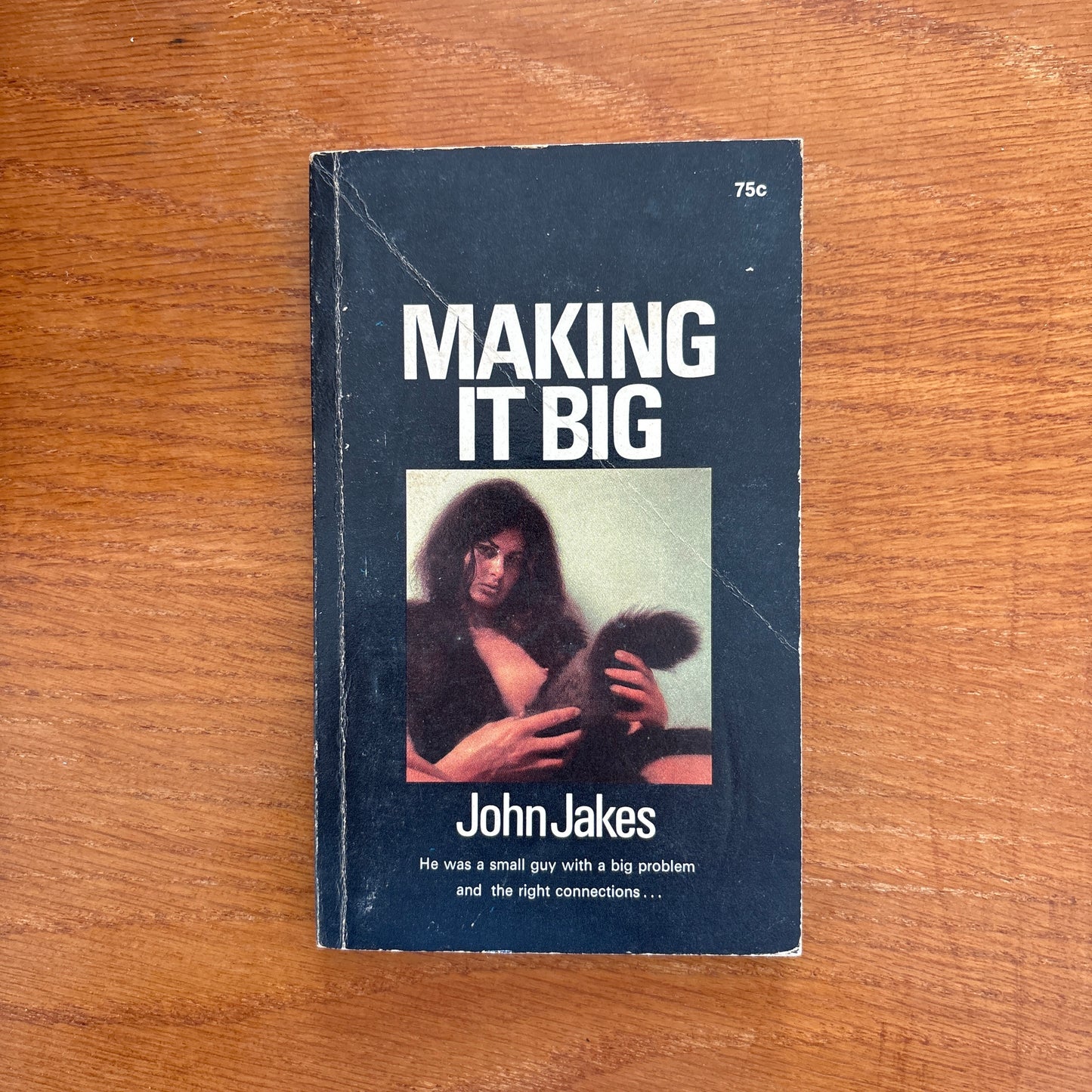 Making It Big - John Jakes