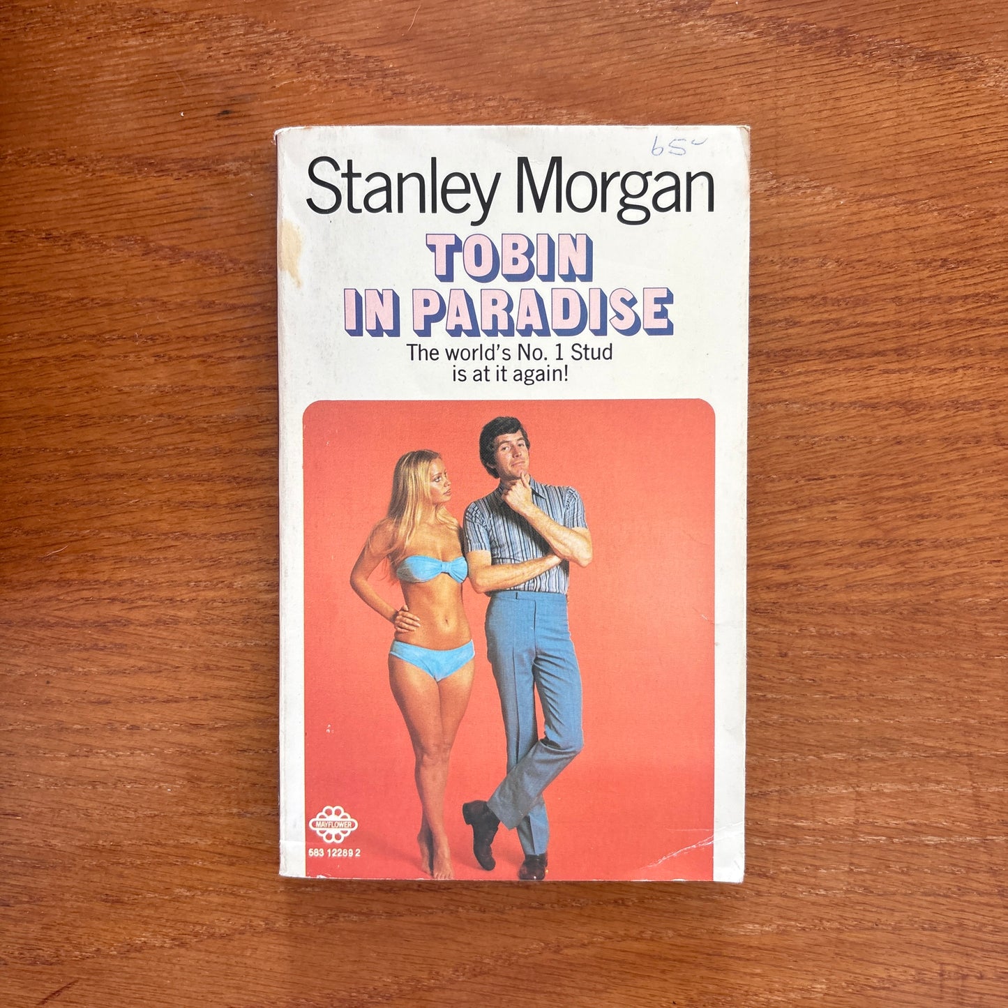 Tobin in Paradise - Stanley Morgan