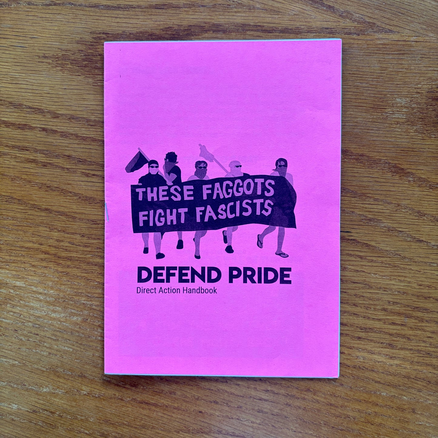 Defend Pride - Direct Action Handbook