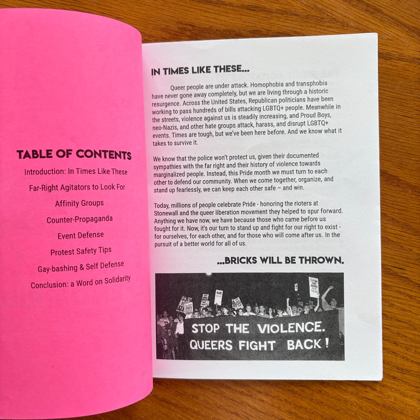 Defend Pride - Direct Action Handbook