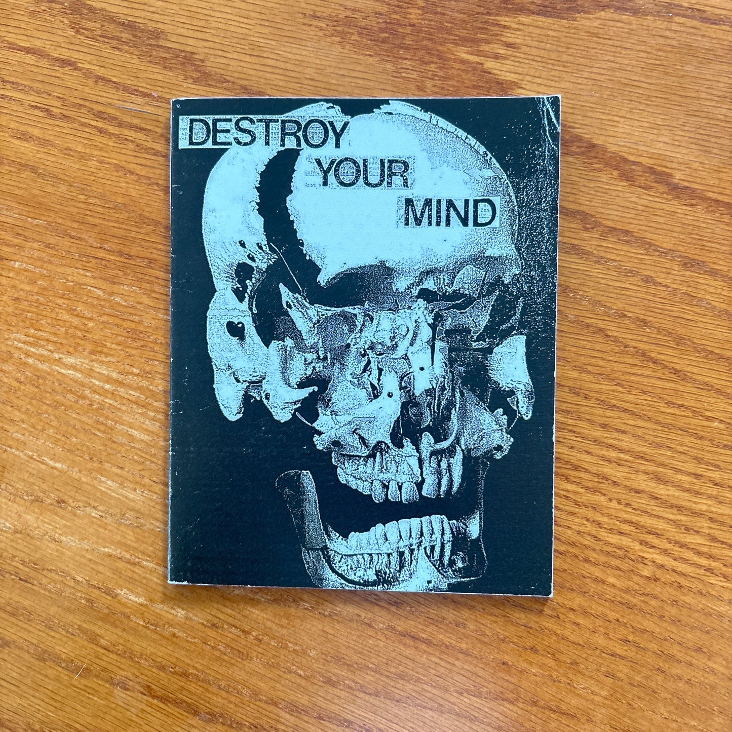 Destroy Your Mind