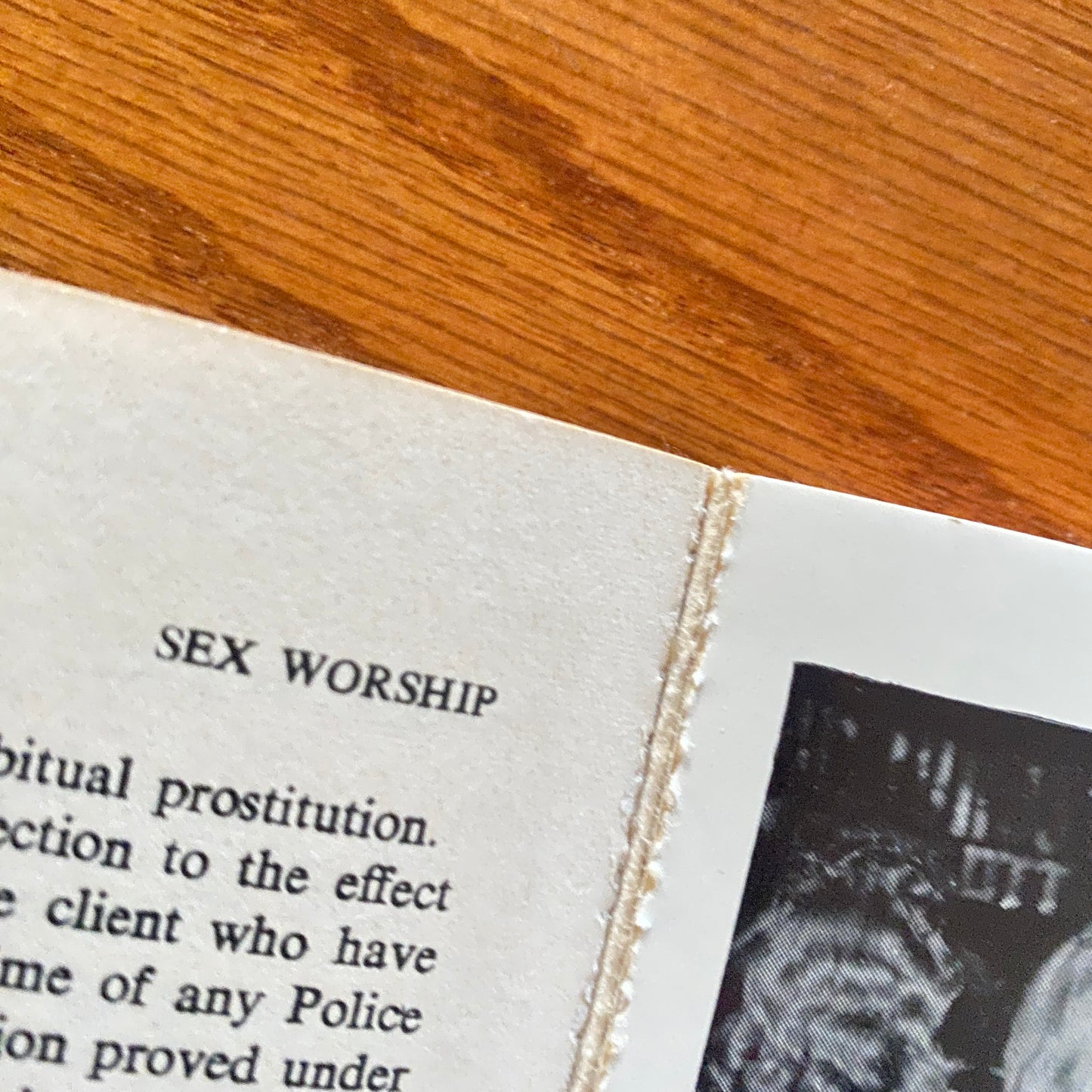 Encylcopaedia Of Sex Worship - A. Scott Morley