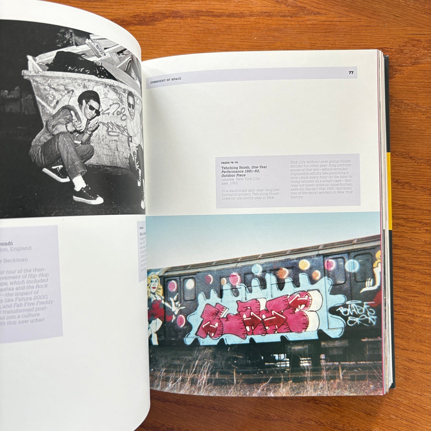 Trespass: A History of Uncommissioned Urban Art.