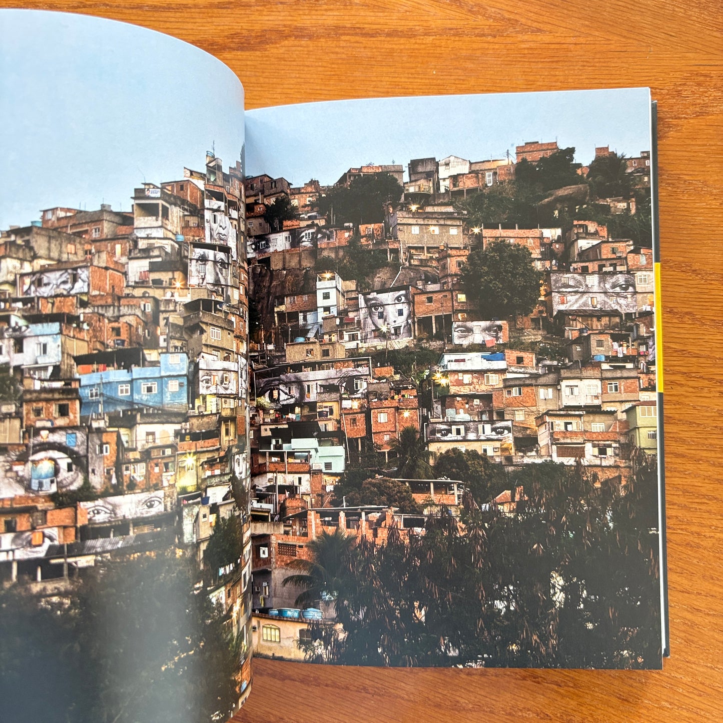 Trespass: A History of Uncommissioned Urban Art.