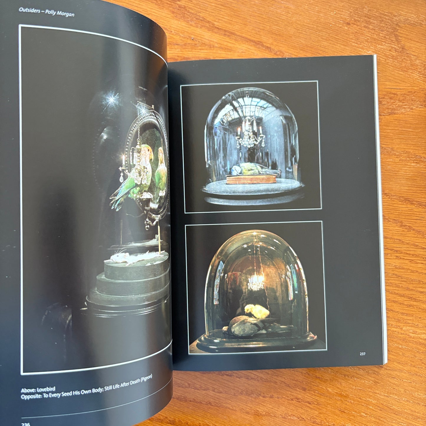 Outsiders - Steve Lazarides