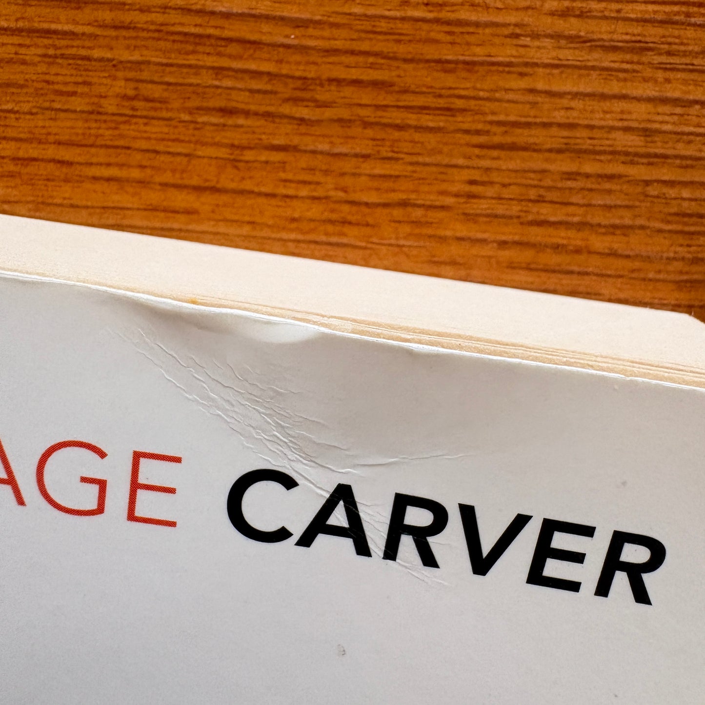 Raymond Carver - Will You Please Be Quiet, Please?