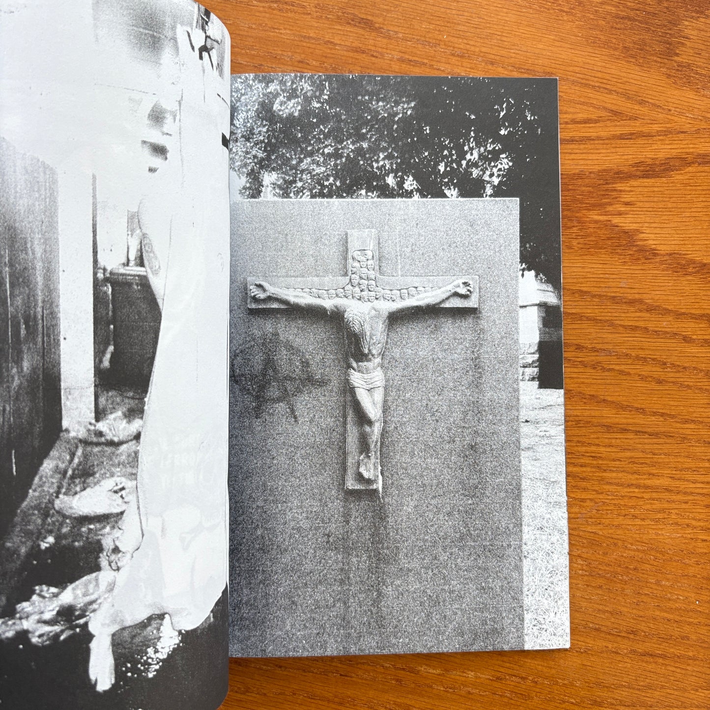 Tim Coghlan - What You Call Life