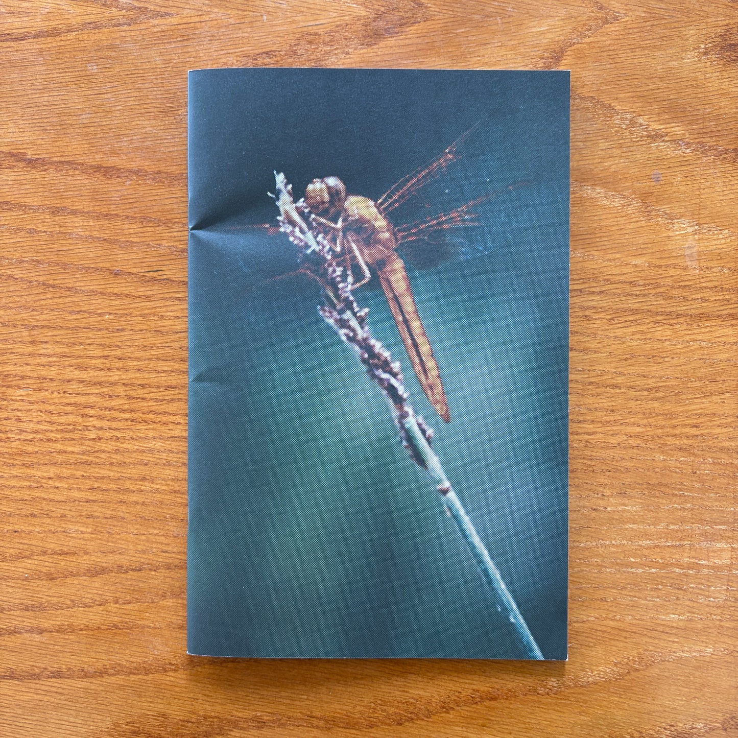 Colin Sussingham - Take A Look Around