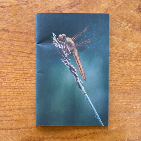 Colin Sussingham - Take A Look Around