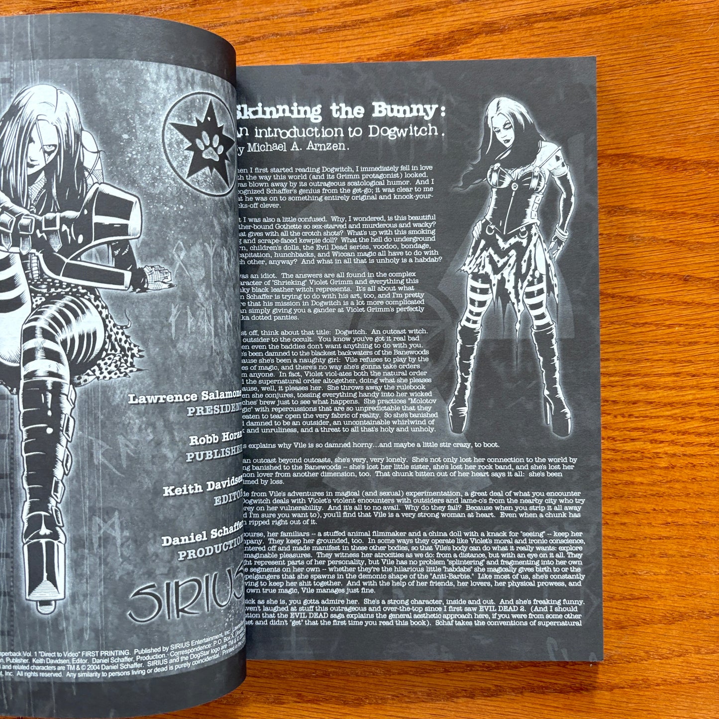 Dogwitch: Direct to Video