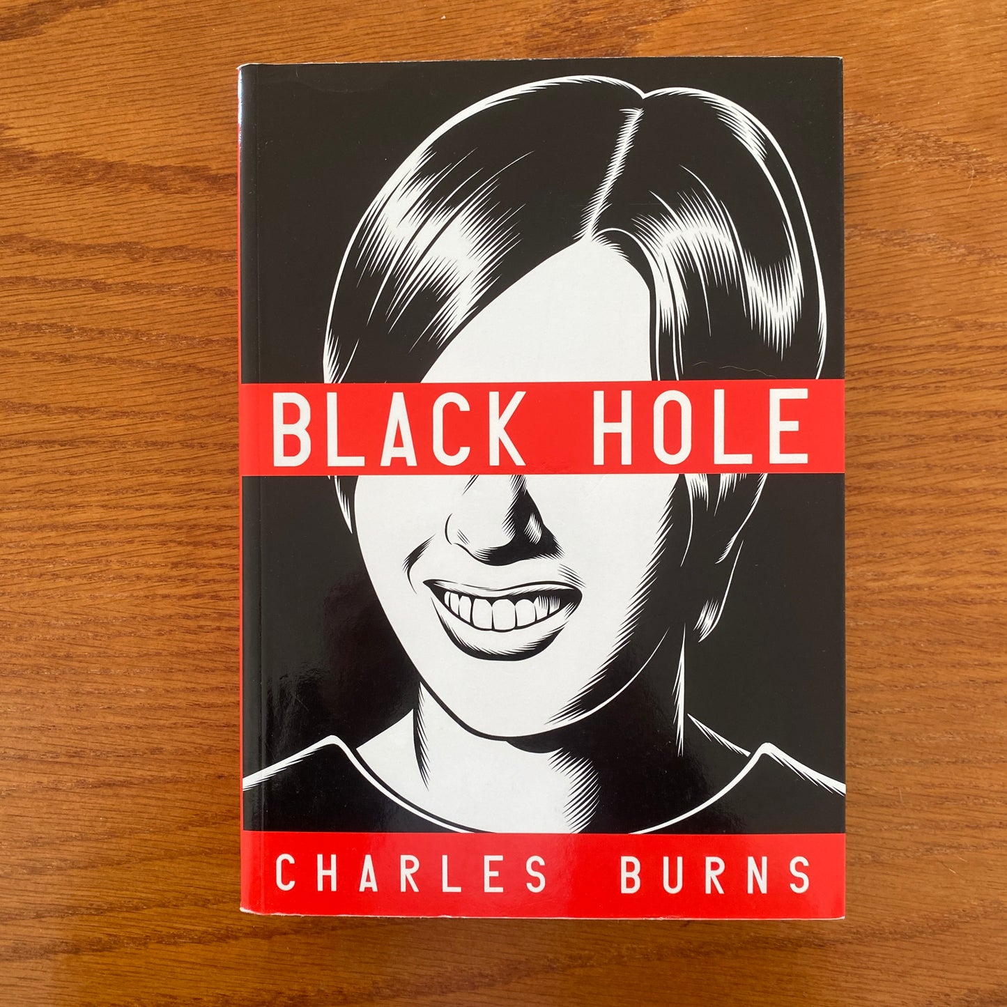 Black Hole - Charles Burns