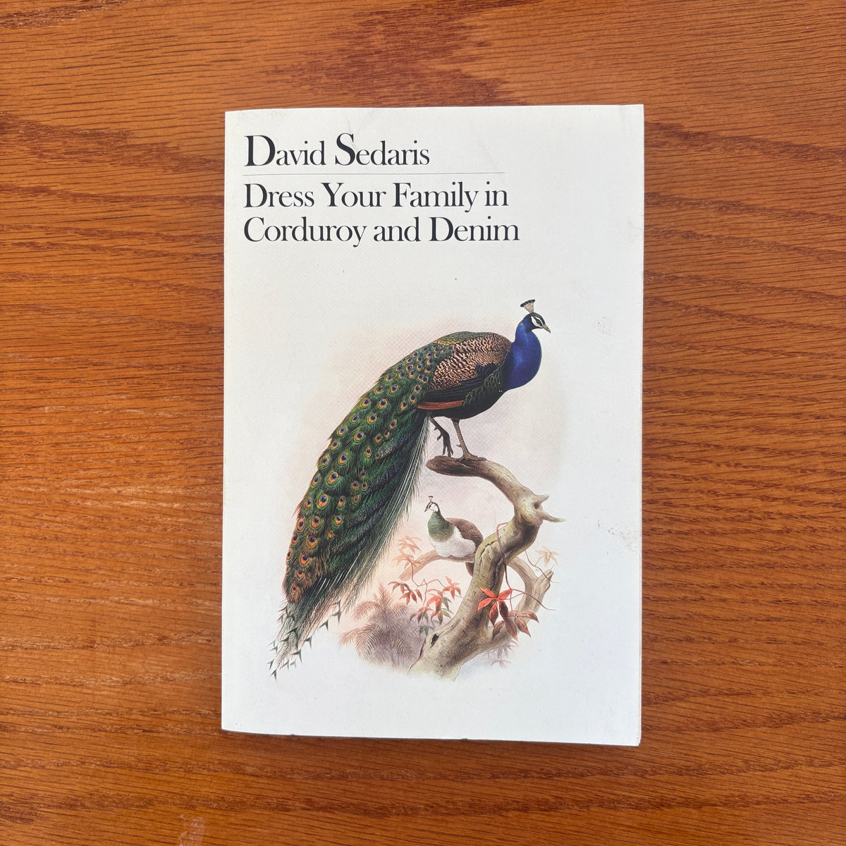 David Sedaris - Dress Your Family in Corduroy and Denim