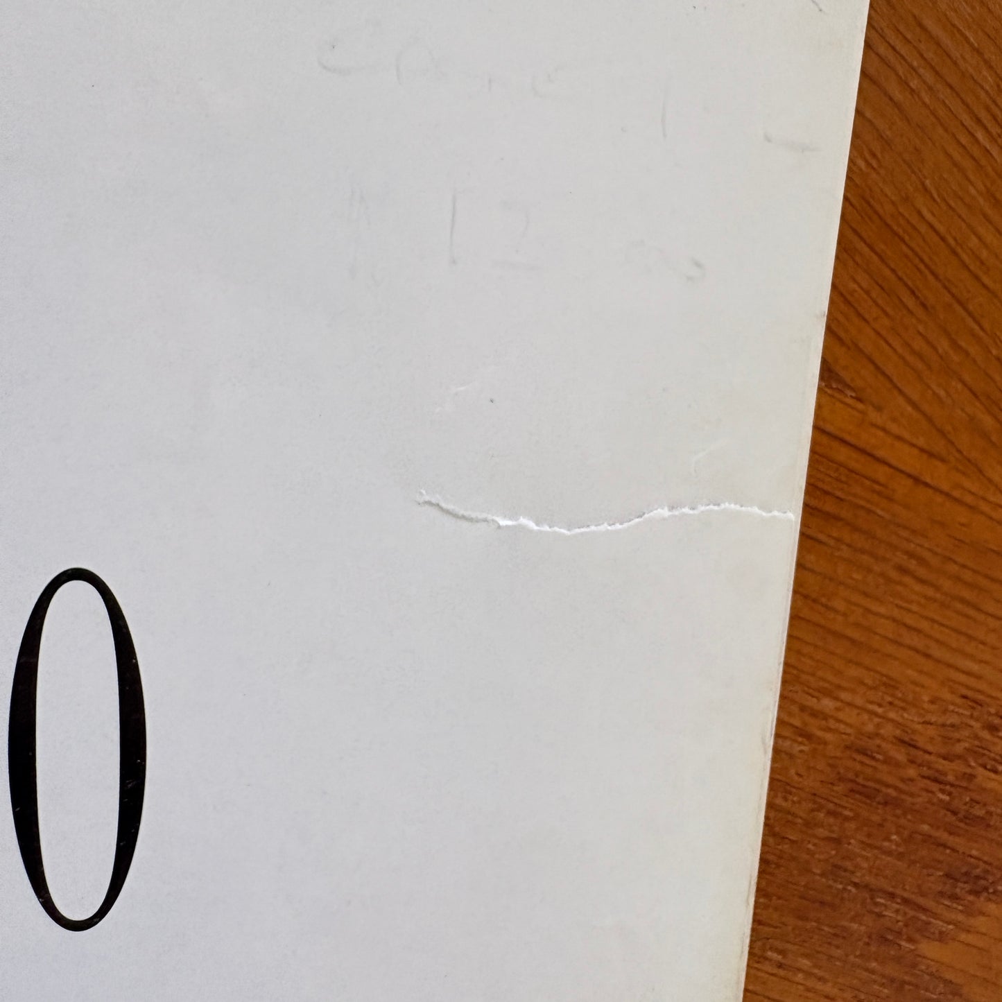 Tattoo: The Exotic Art of Skin Decoration - Michelle Delio