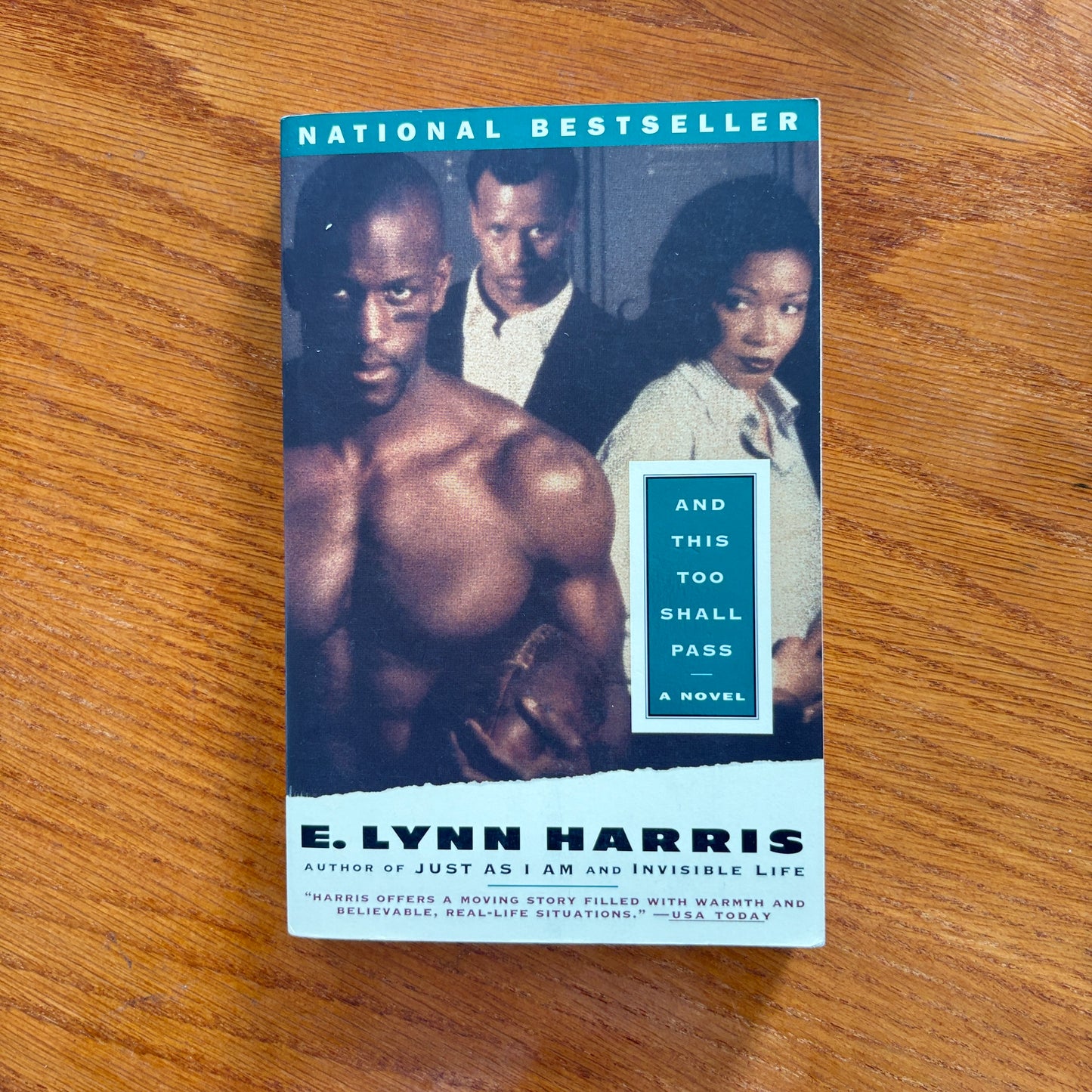 E. Lynn Harris - And This Too Shall Pass