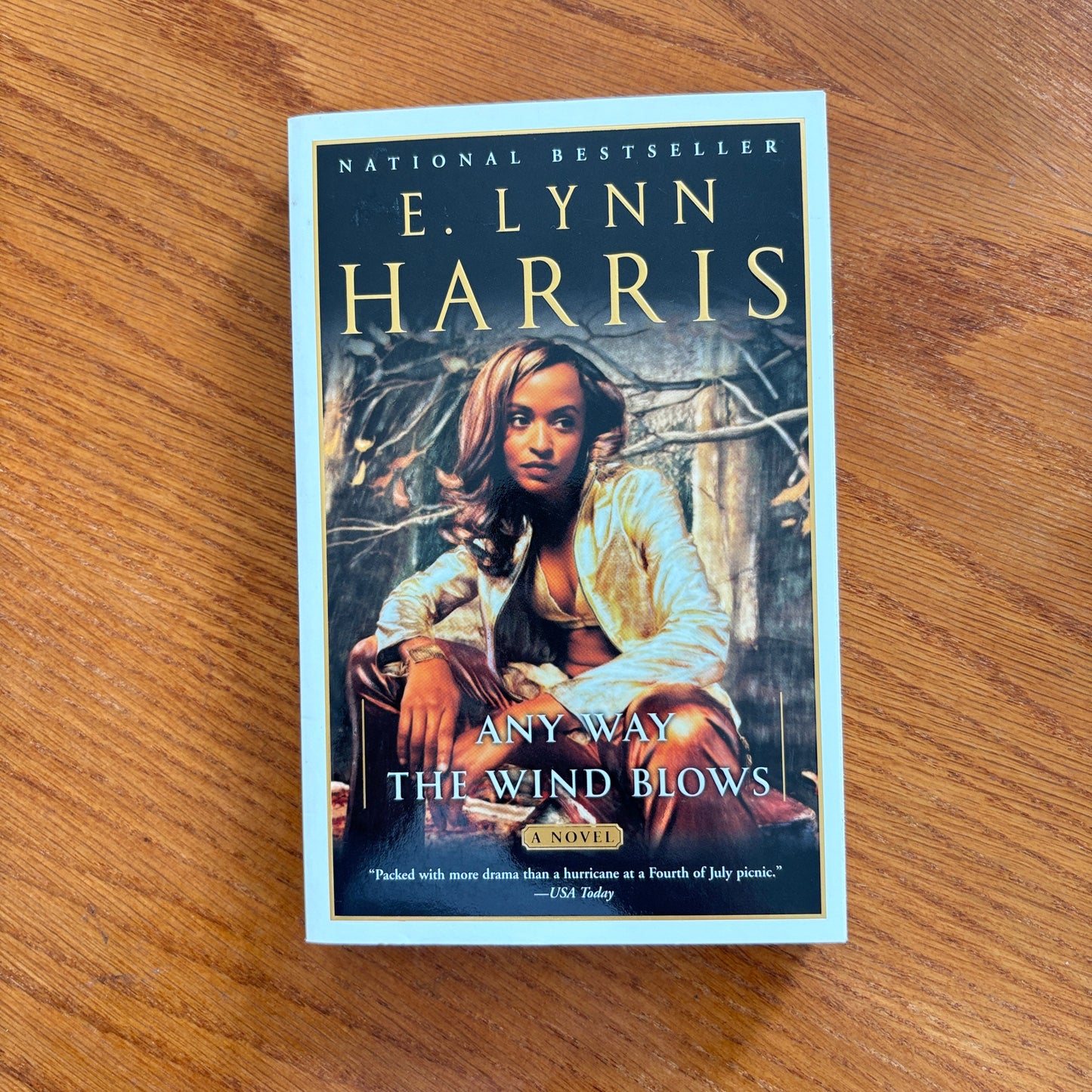 E. Lynn Harris -  Any Way The Wind Blows