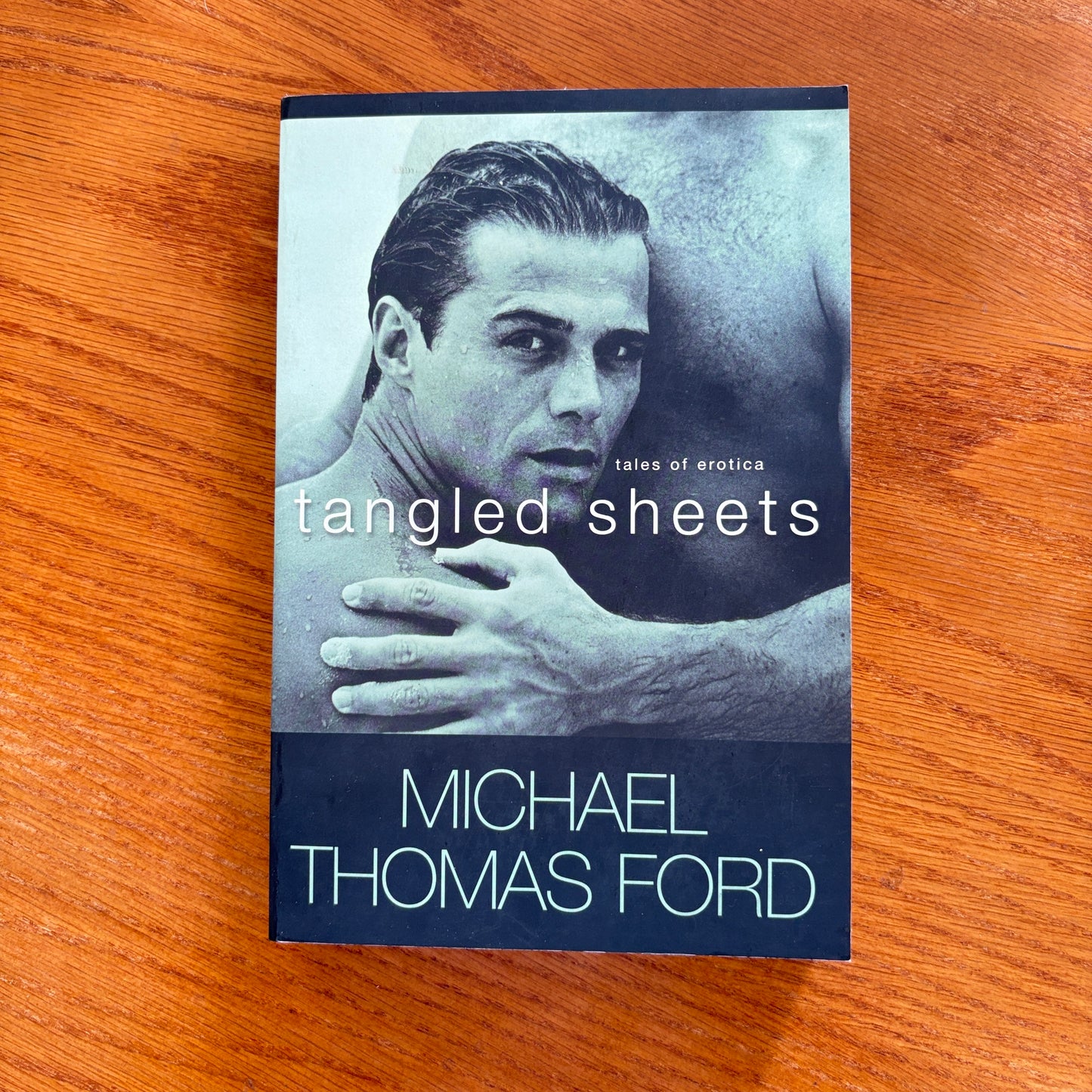 Tangled Sheets - Michael Thomas Ford