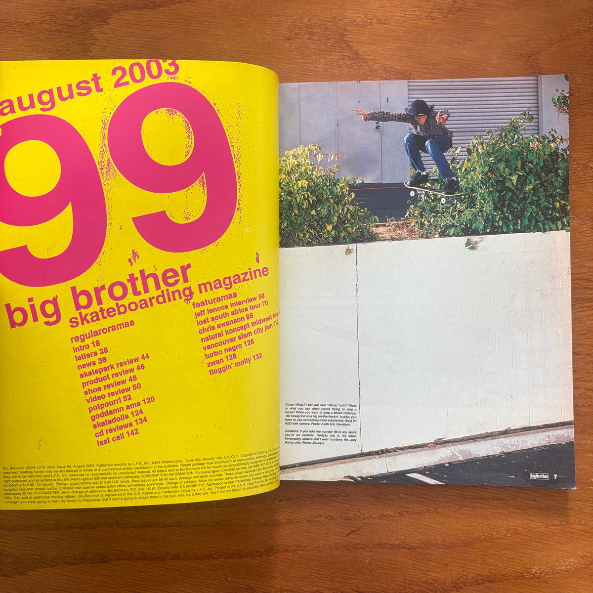 Big Brother 99