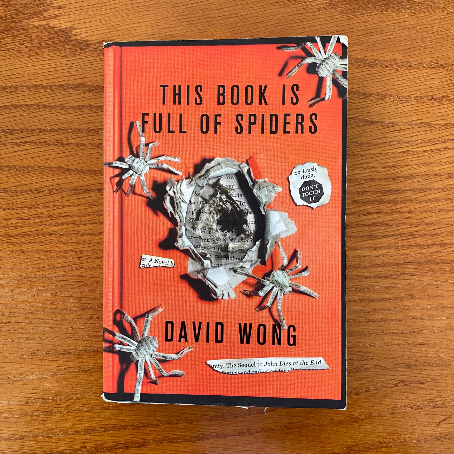 David Wong - This Book Is Full Of Spiders