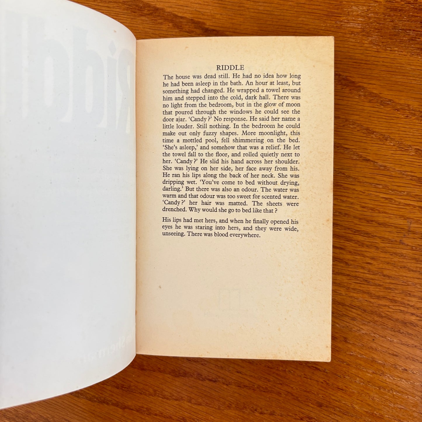 Riddle - Dan Sherman