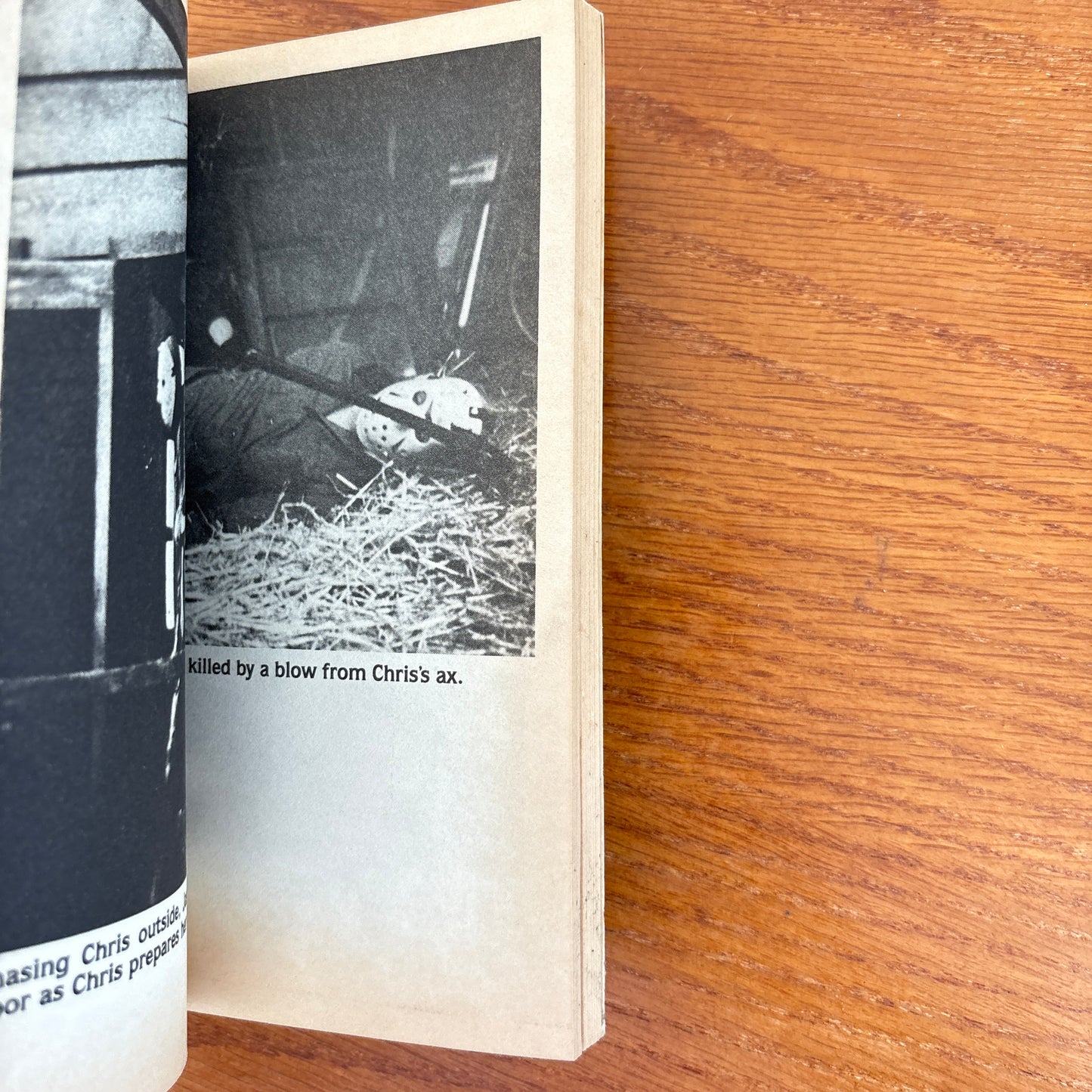 Friday The 13th Part. 3 3D - Michael Avallone