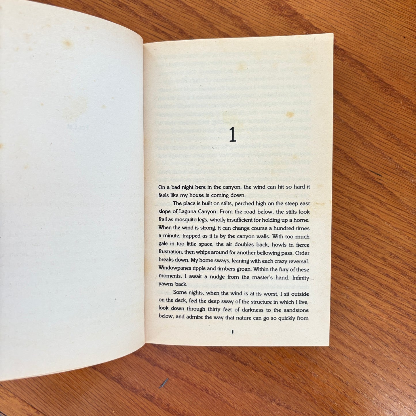 Summer of Fear - T. Jefferson Parker