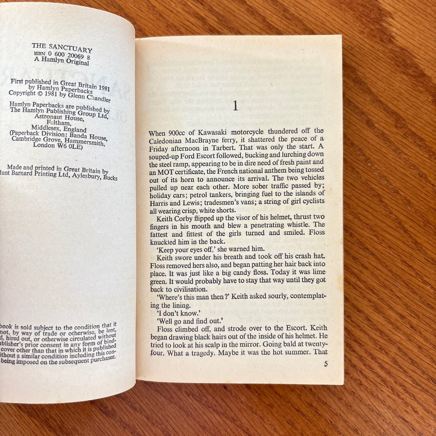 The Sanctuary - Glenn Chandler