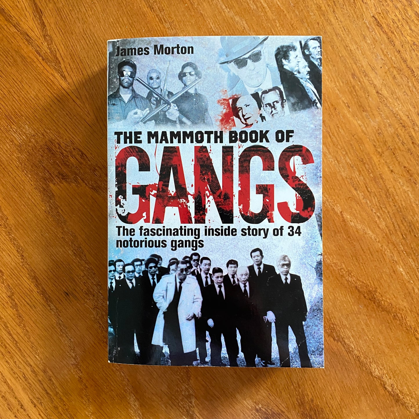 The Mammoth Book Of Gangs - James Morton