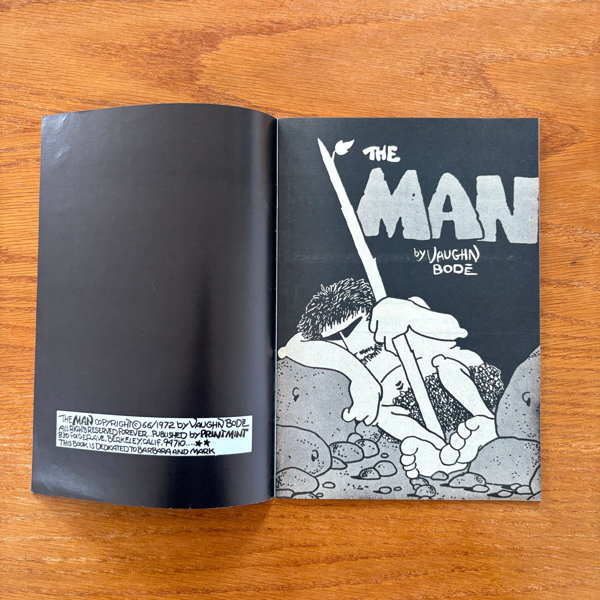 The Man - Vaughn Bode