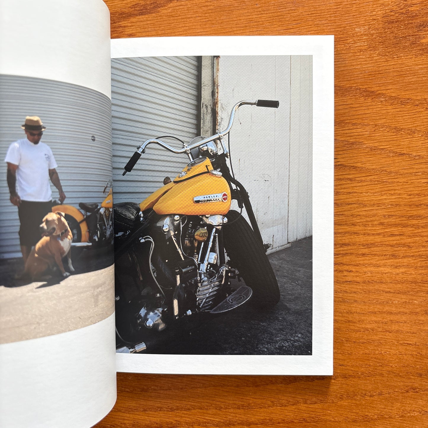 Throttle Merchants #4