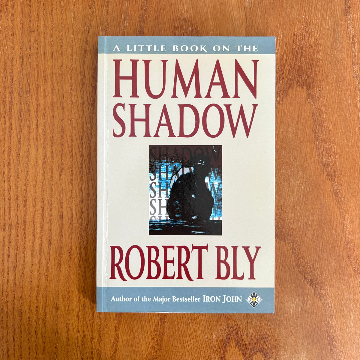 A Little Book on the Human Shadow - Robert Bly