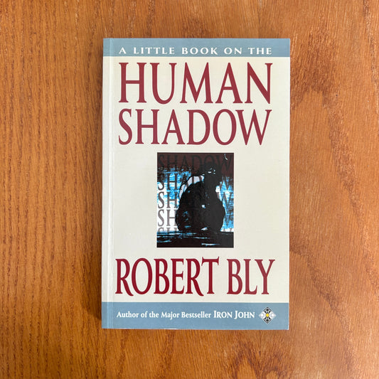 A Little Book on the Human Shadow - Robert Bly